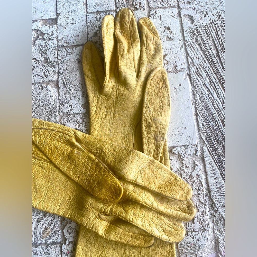 Vintage Ostrich Gloves.